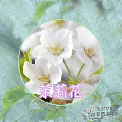 ֲNֲɣmNֲ҃(ni)՚ֲ҃(ni)ȩֲhȩGֲB(yng)o(h)